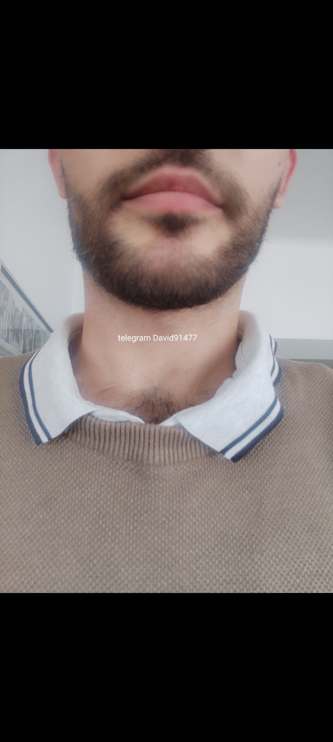 Profil de Timour