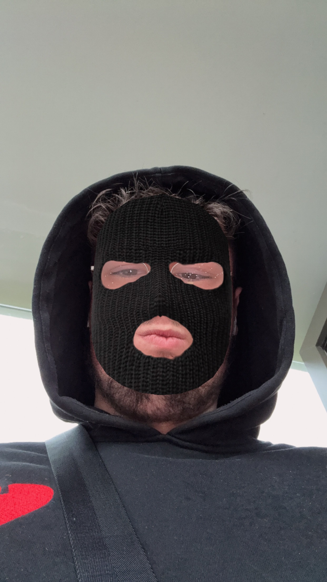 Profil de Moche