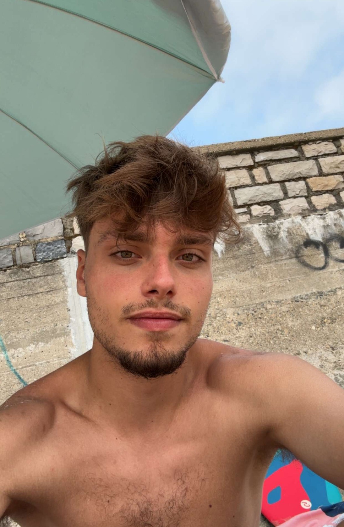 Profil de Judikael